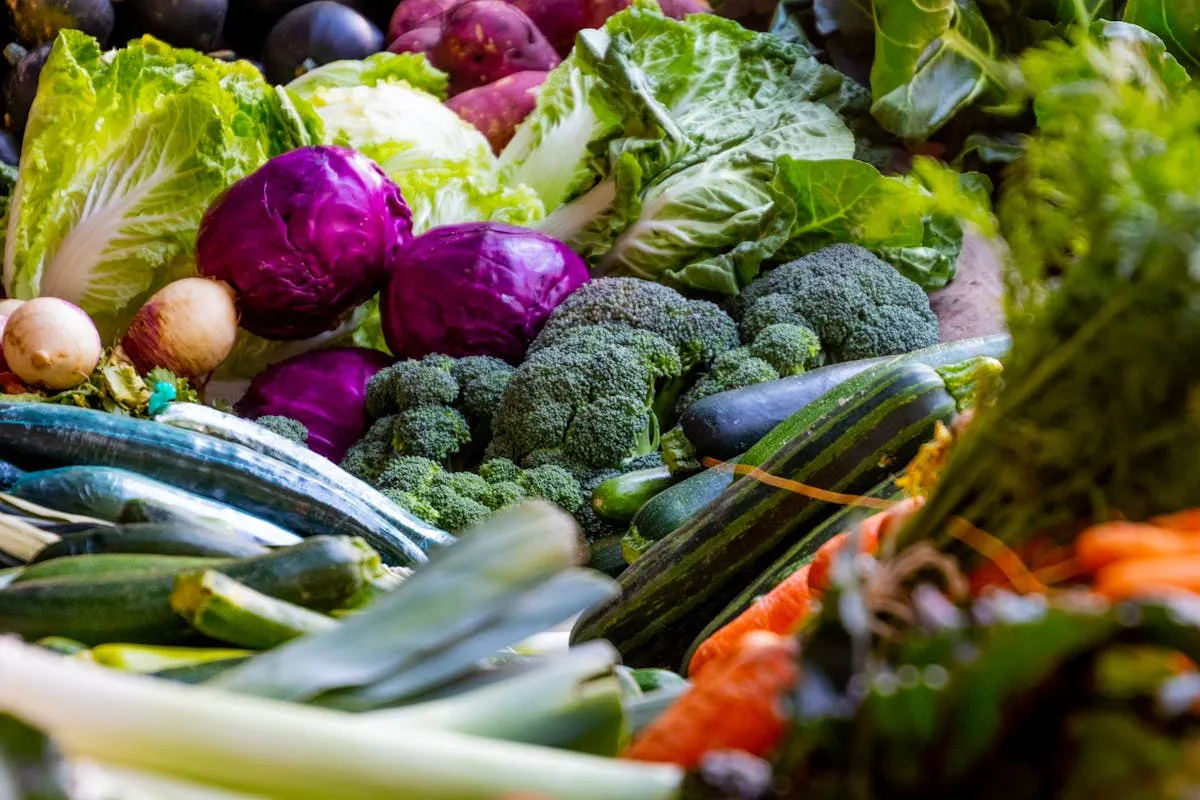 Comment choisir son extracteur de jus ?