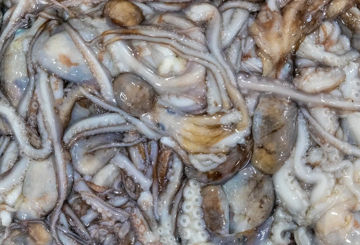 Poulpe frit croustillant à l'espagnole (pulpo frito) au paprika